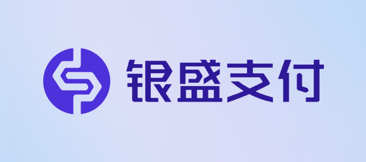 银盛支付